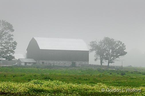Barn In Fog & Rain_04851.jpg - Photographed near Orillia, Ontario, Canada.